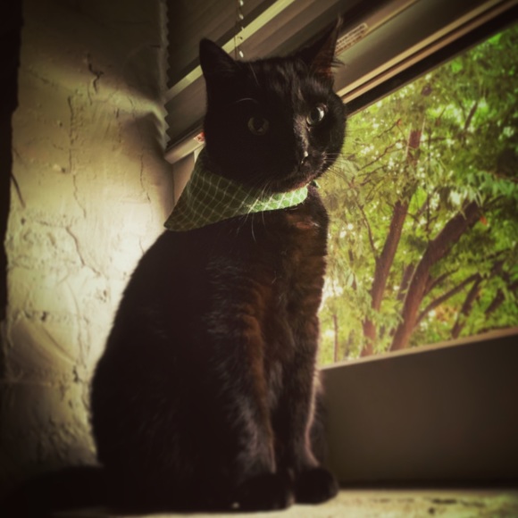 Meet your Posher - Picture 3 of 3